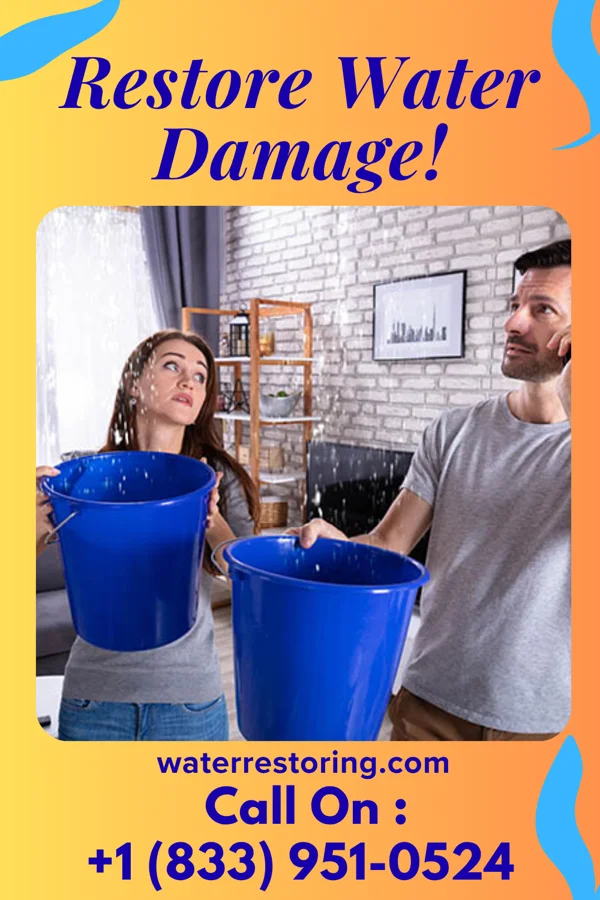 water restoration Rapid Disaster Recovery Masters Rothsay