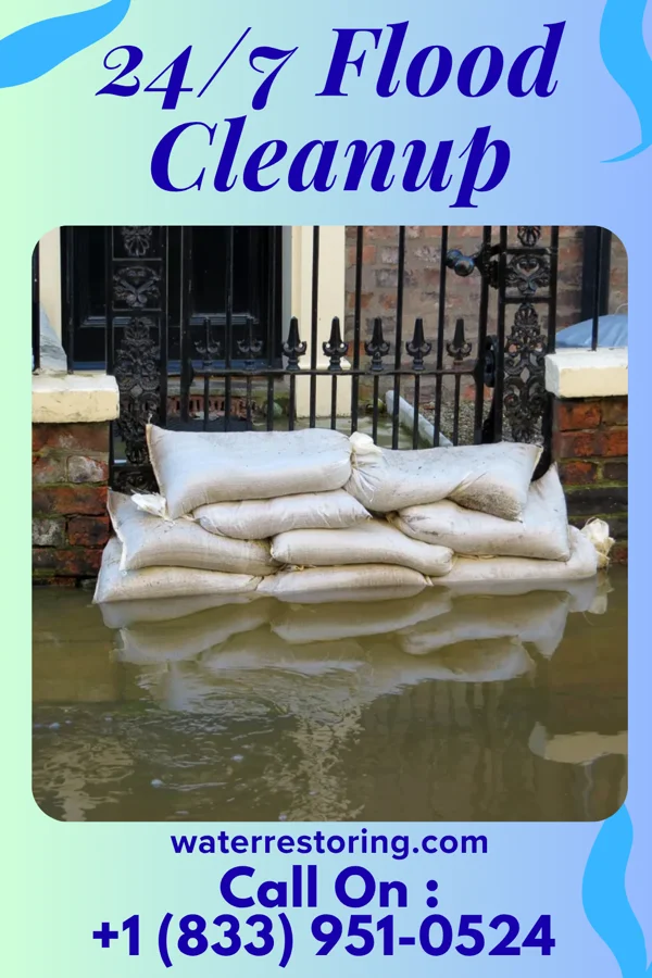 24/7 Flood Cleanup in Rothsay, MN