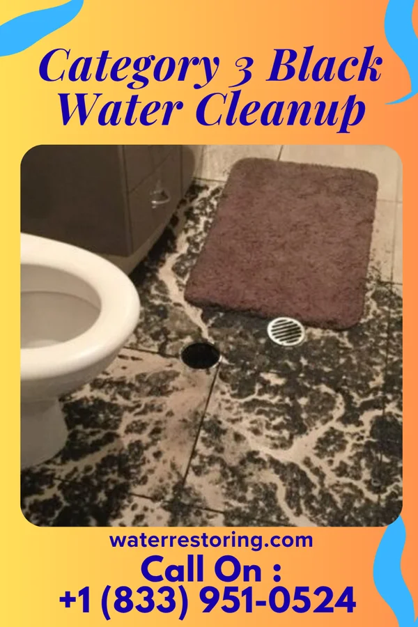 Category 3 Black Water Cleanup in Rothsay, MN
