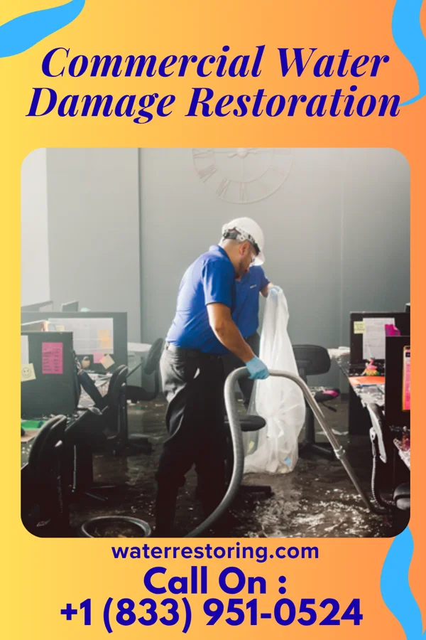 Commercial Water Damage Restoration in Rothsay, MN
