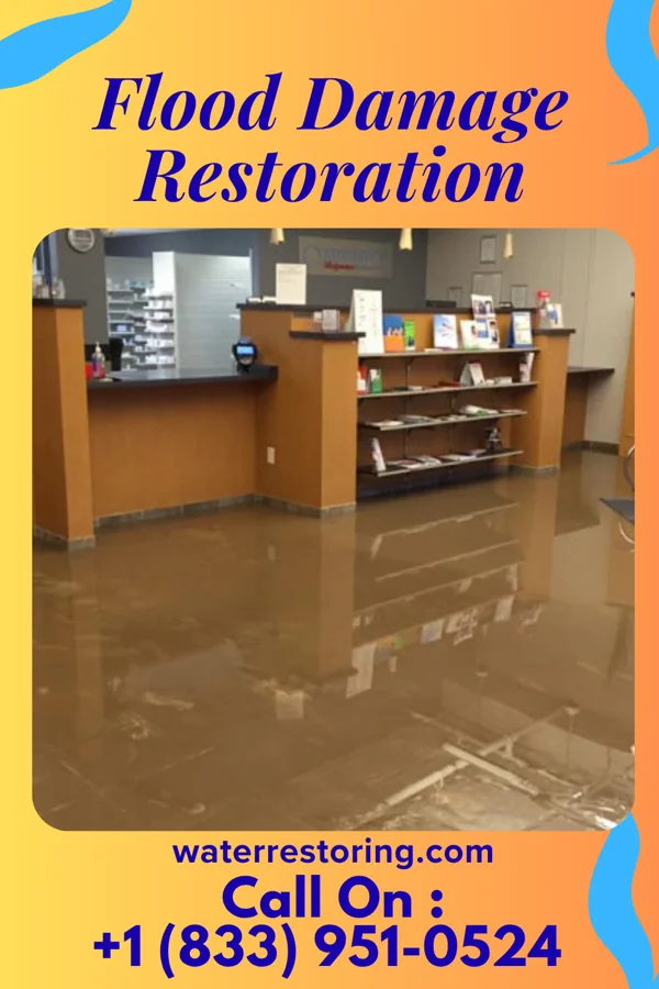 Flood Damage Restoration in Rothsay, MN