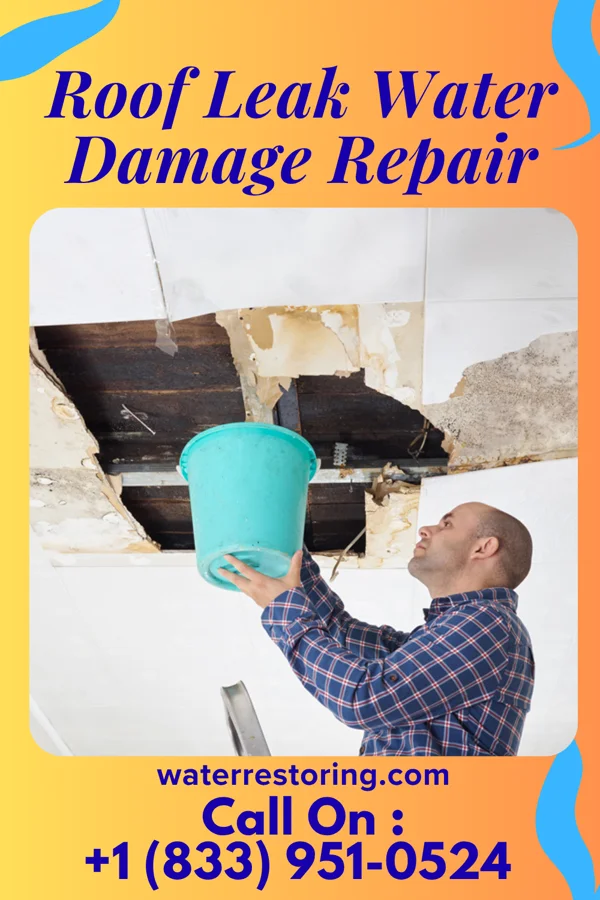Roof Leak Water Damage Repair in Rothsay, MN
