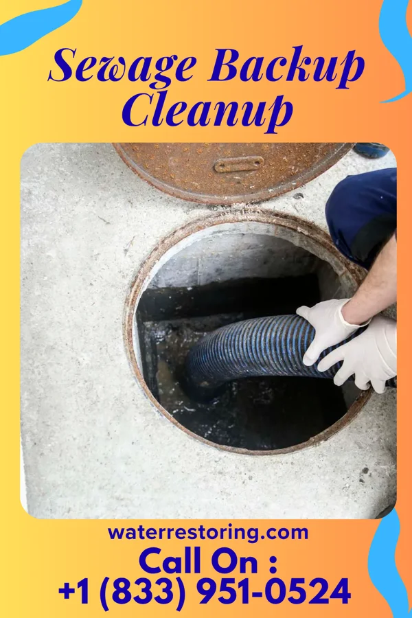 Sewage Backup Cleanup in Rothsay, MN