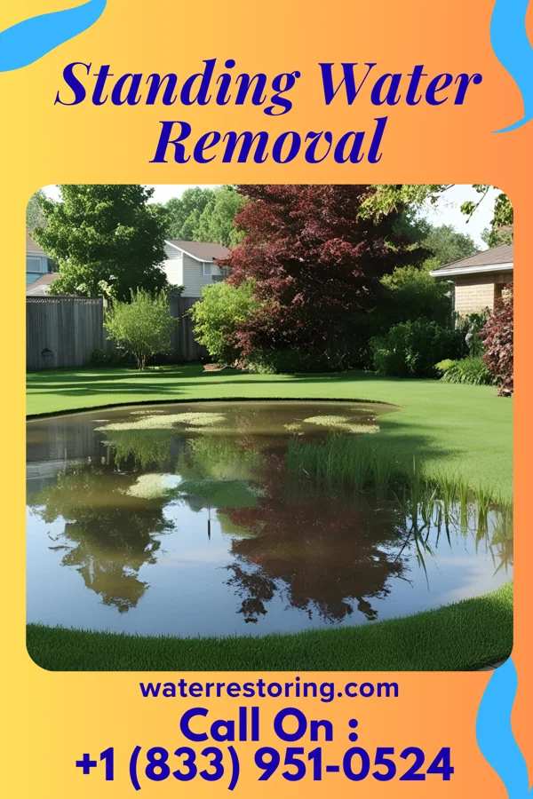 Standing Water Removal in Rothsay, MN